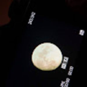 Meet your Posher, Daniela